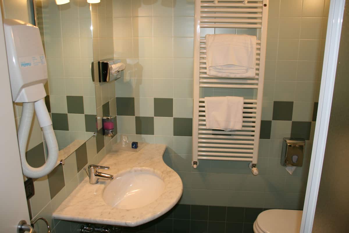 shower, free toiletries, hair dryer, slippers