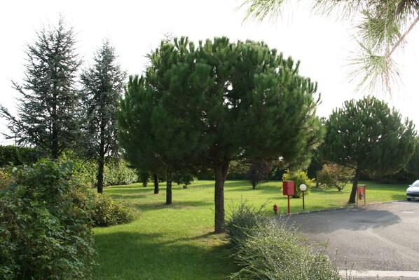Jardin