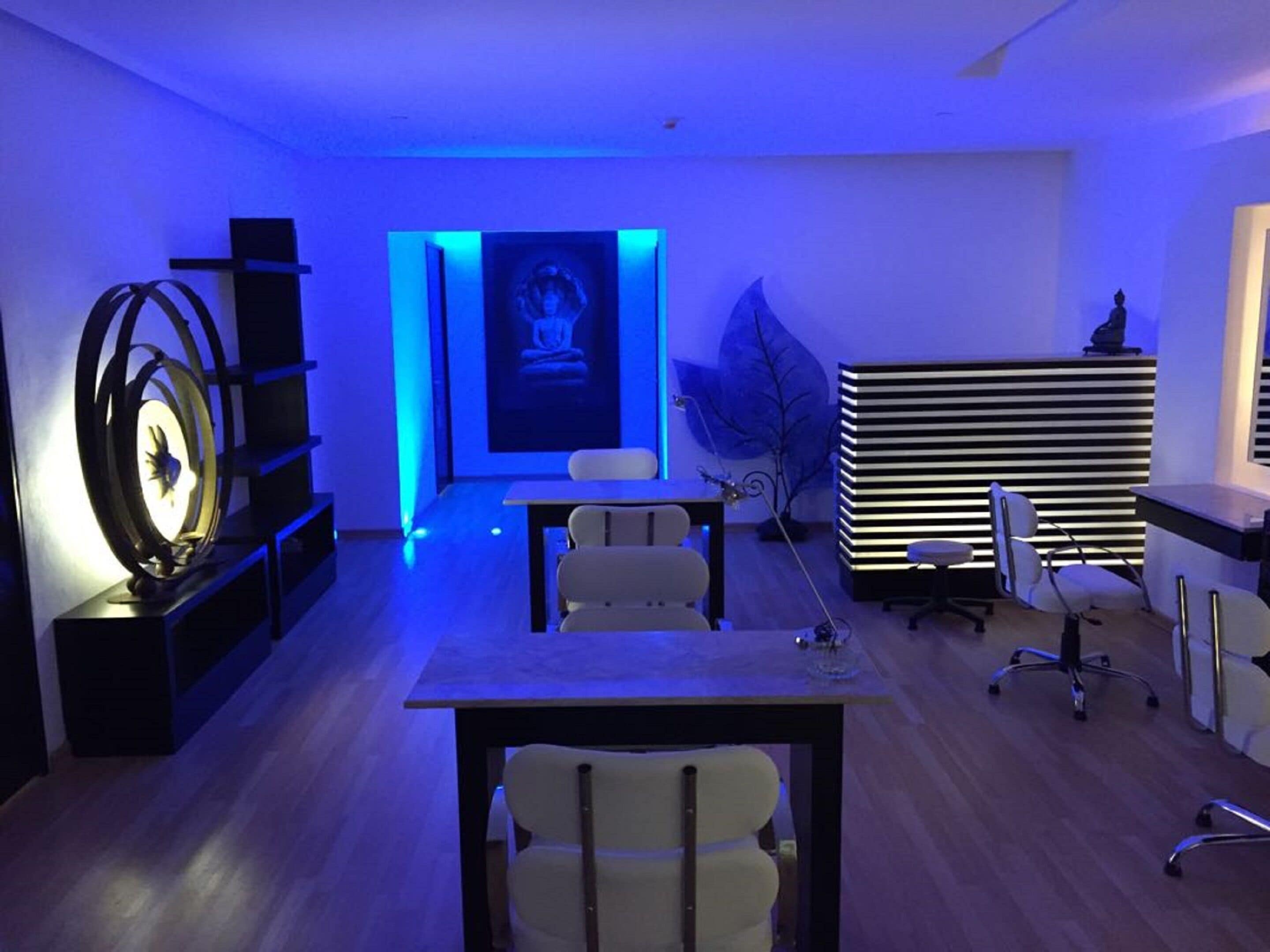 Een moderne kantoorruimte met een bureau, stoelen, een grote sierplant en een wandplank.