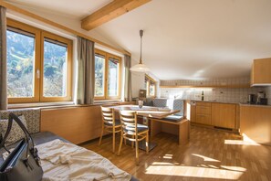 Apartment (Gasteinertalblick) | Eigene Küche | Kühlschrank, Mikrowelle, Herdplatte, Geschirrspüler