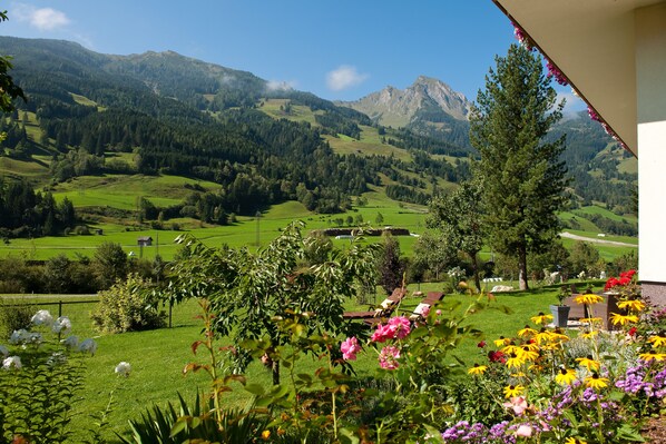 Property grounds - Silberkrug (Dorfgastein)