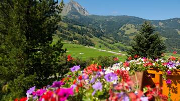 Blick von der Unterkunft