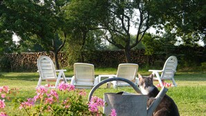 Ein Garten mit einem Topfpflanzen, einem Wasserkrug und weißen Stühlen.