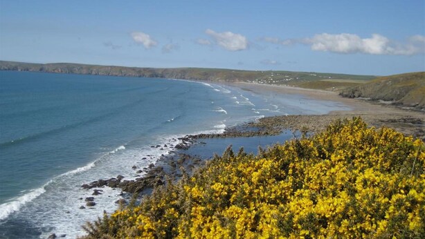 Beach - Fulmar, Folkeston Hill 41 (Haverfordwest)