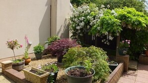 Garden - Little Ilford (Tenby)