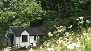 Front of property - Oak Tree Cottage (Cardigan)