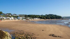 Beach nearby - Skerry Back (Saundersfoot)