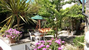 Property grounds - The Stable (Tenby)