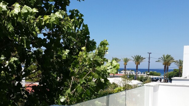 Un balcon doté d’une balustrade en verre, offrant une vue dégagée sur un ciel bleu azur et, au loin, sur des palmiers et des bâtiments.