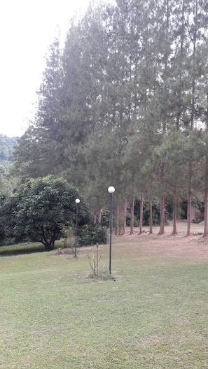 บริเวณที่พัก