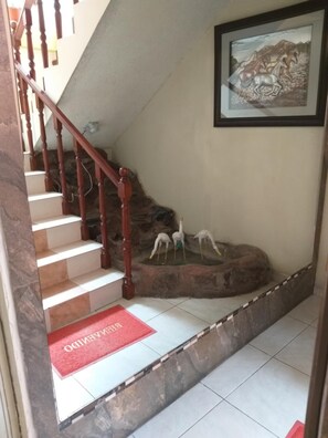 Interior - Hostal Oro Orense (Quito)