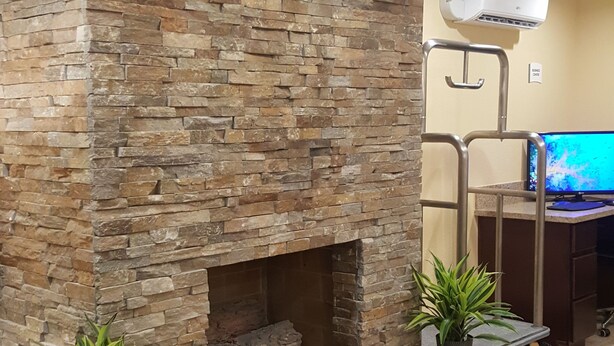 A stone fireplace with a metal fireguard, two potted plants, and a ceiling fan.