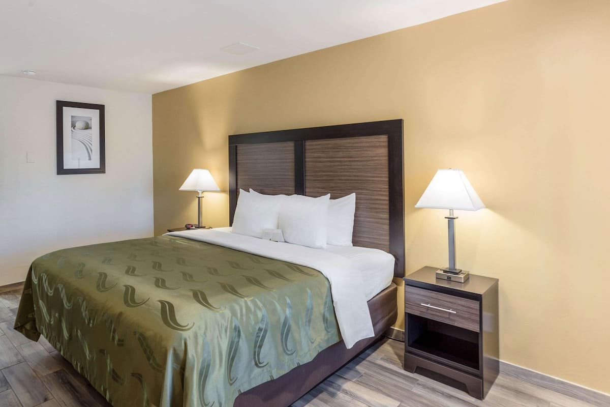 Habitación de hotel con una cama, dos mesitas de noche, una lámpara sobre cada mesita y un cuadro en la pared, además de una colcha estampada.
