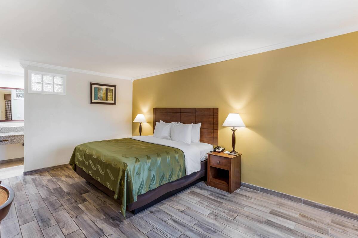 Standard Room, 1 King Bed, Non Smoking