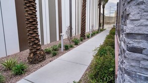 A pathway lined with palm trees and a stone wall, leading to a parking area. - Home2 Suites by Hilton Las Vegas Stadium District (Las Vegas)