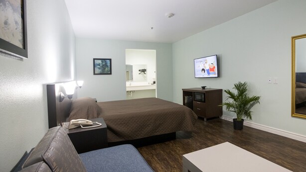 Ett hotellrum med en säng, en soffa, ett skrivbord, en tv, en spegel och en krukväxt.