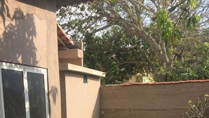 A backyard with a grassy lawn, a concrete planter, and a brick wall. - Boots Travelers Lodge (Negombo)