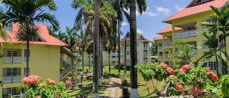 A hotel with multiple yellow buildings, palm trees, and a pathway leading to the entrance.
