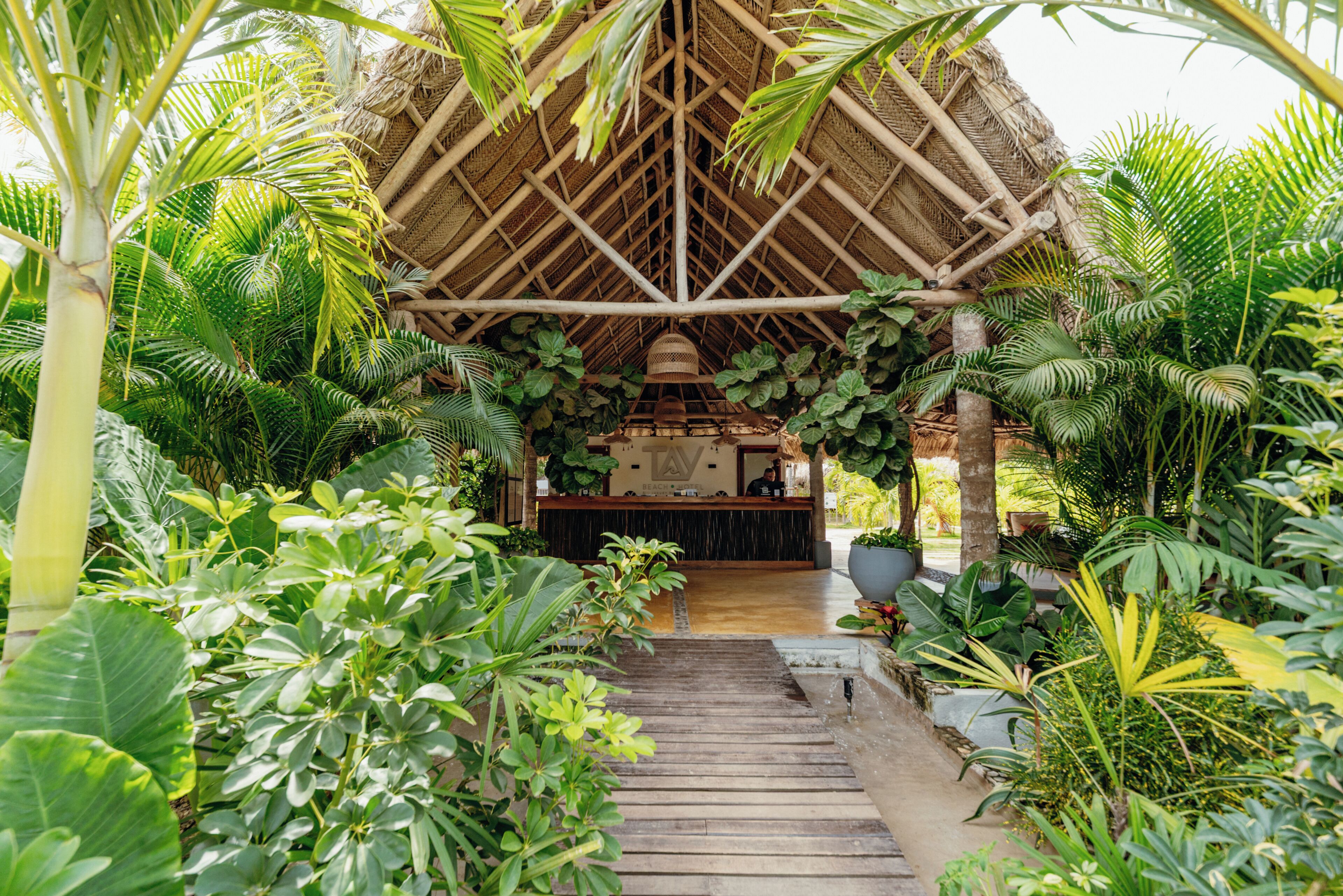 A tropical resort with a thatched-roof structure, a reception desk, and a pathway leading to the entrance.