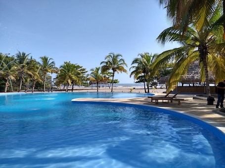 Outdoor pool, sun loungers