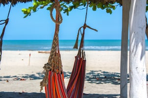 A beach scene with a hammock hanging from a tree.