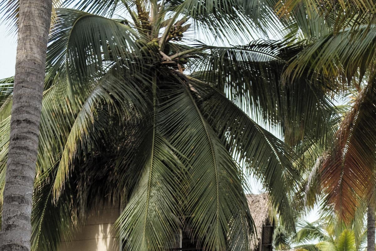 豪華雙人房, 露台 | 床單