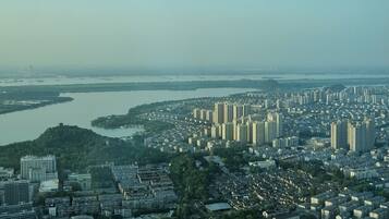 A cityscape with dense urban development, a river, and a distant body of water.