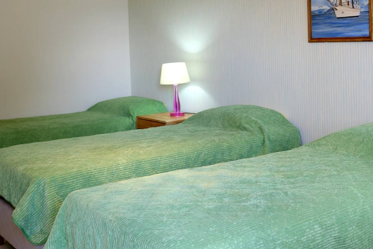 A room with two beds, each with green bedding, a wooden nightstand with a pink lamp, and a framed picture on the wall.
