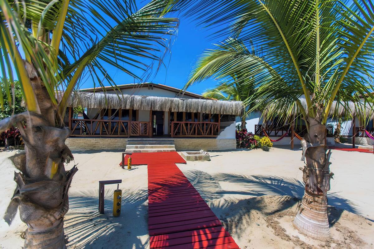 A beachside building with a thatched roof, a red carpet leading to the entrance, and palm trees.