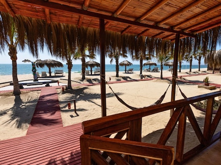 ํ
๋ผ์ค/ํํฐ์ค