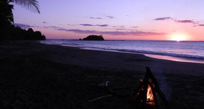 Komfortabler, moderner Dschungel-Rückzugsort mit wundersamer Aussicht