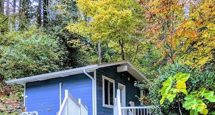 A private newly renovated cabin surrounded by trees