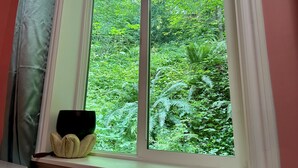 A window with a view of dense green foliage. - A private newly renovated cabin surrounded by trees (Lake Forest Park)