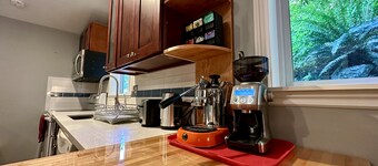 A private newly renovated cabin surrounded by trees