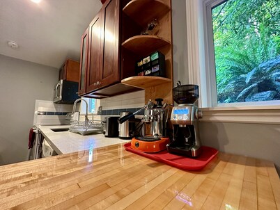 A private newly renovated cabin surrounded by trees