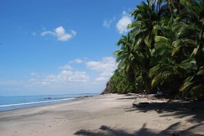 بالقرب من الشاطئ