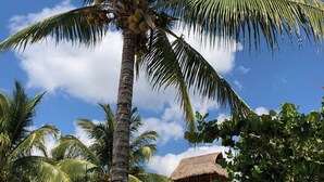Una località turistica tropicale con palme, un edificio con tetto di paglia e un edificio bianco con dettagli arancioni.