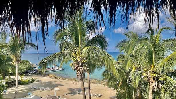 Vista sulla spiaggia con palme, una barca e una zona relax con sedie e ombrelloni.