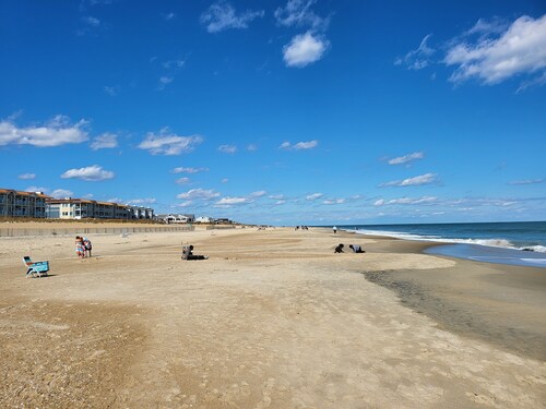 Spacious Clean New House back to woods - just 1.5 miles away from Bethany beach