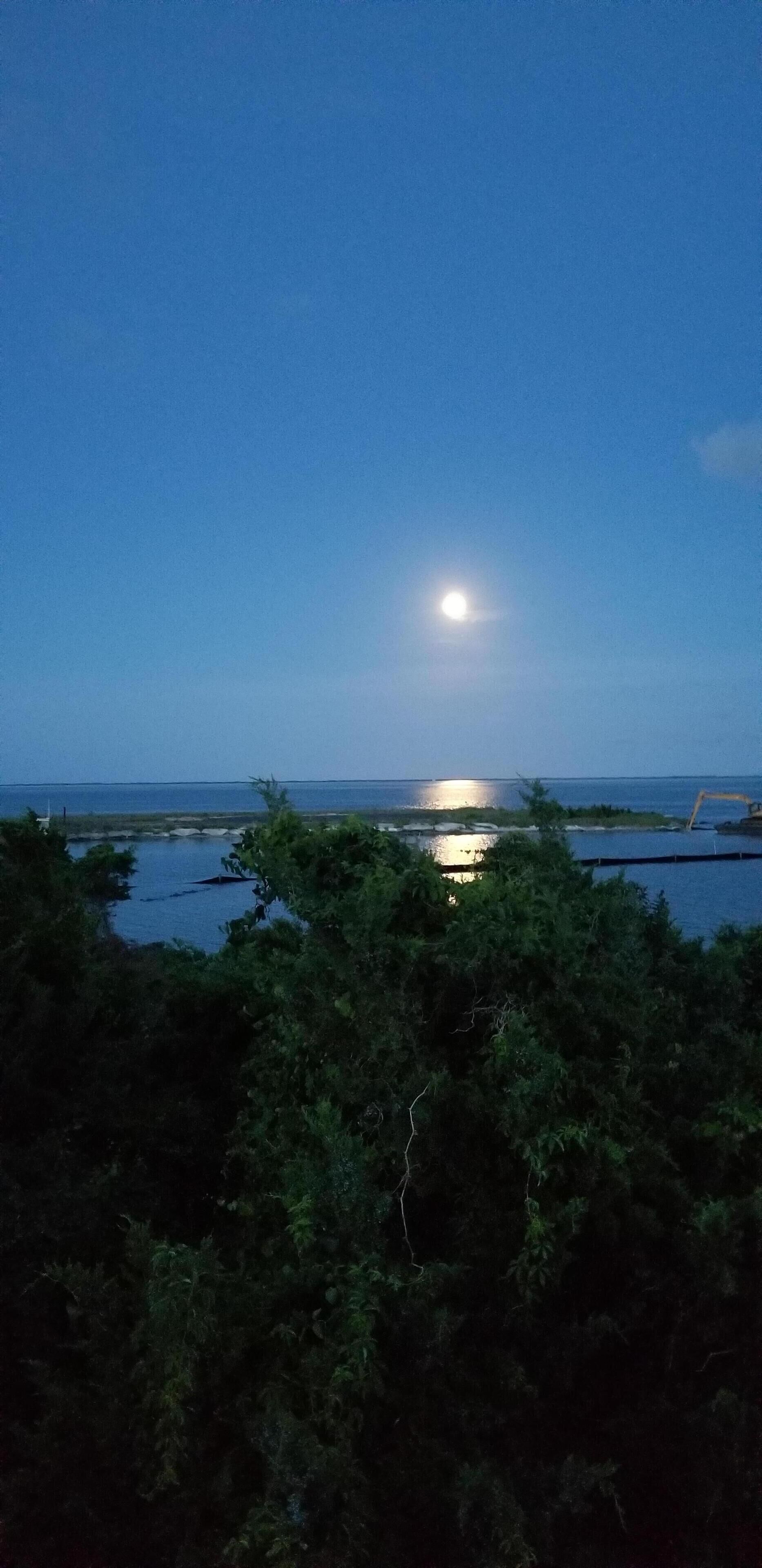Un paisaje costero con cielo despejado y luna visible.