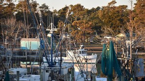 A marina with multiple boats docked, surrounded by trees and a building in the background. - Soundfront home
3 Bedrooms
3 Bathrooms (Atlantic)