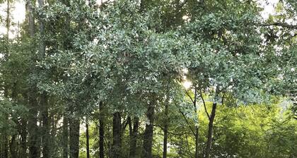 Carolina Cottage (lähellä ostosmahdollisuuksia, ravintoloita ja alueen sotilastukikohtia)