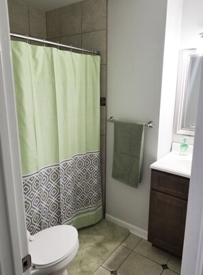 Ensemble baignoire-douche, séchoir à cheveux, serviettes fournies, savon