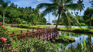 A tropical garden with a bridge, palm trees, a pool, and a clear sky.
