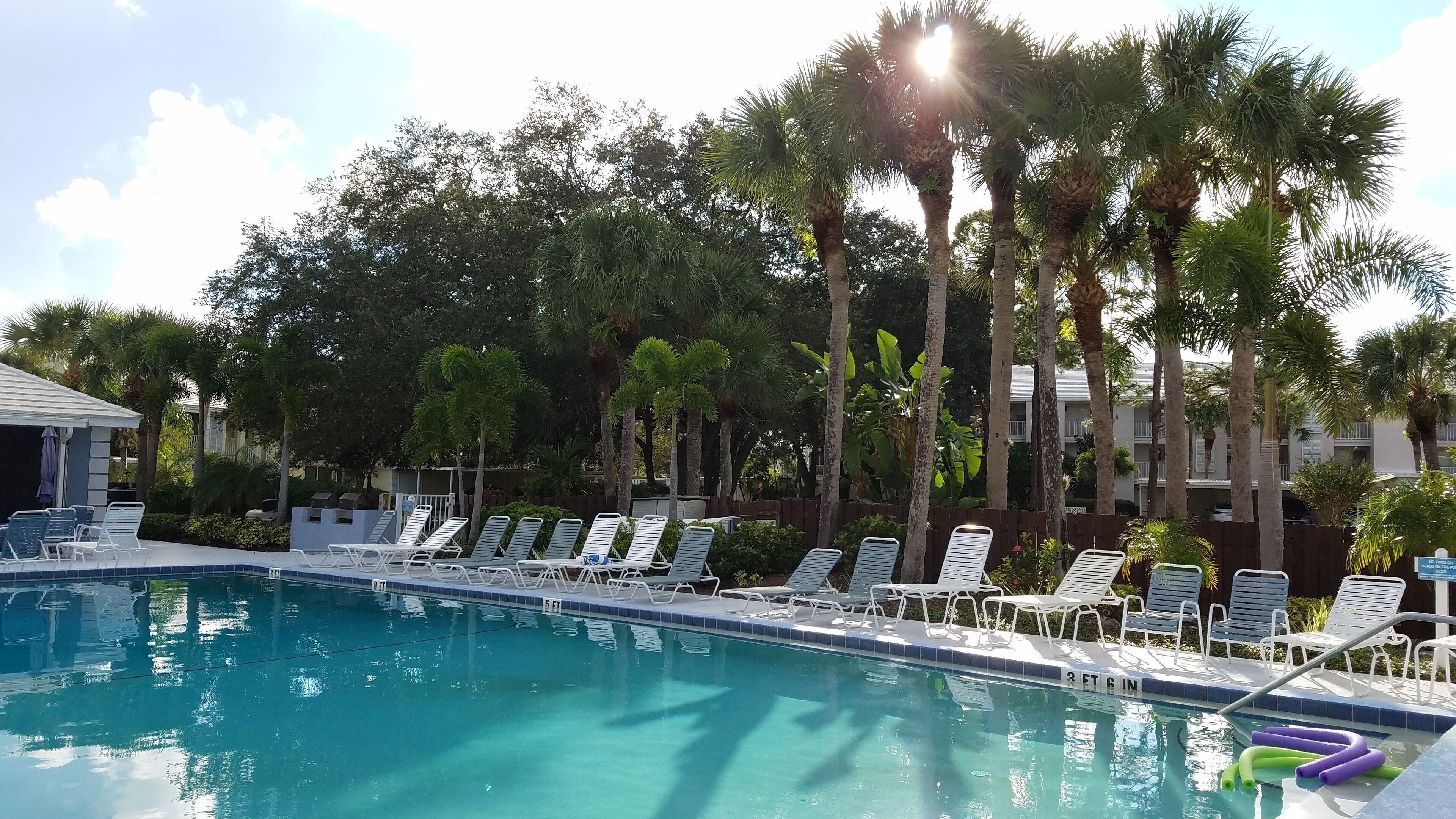 Une piscine avec des chaises longues et des palmiers.