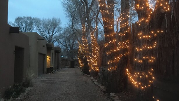 A pathway lined with trees wrapped in string lights, leading to a building with a modern architectural style.