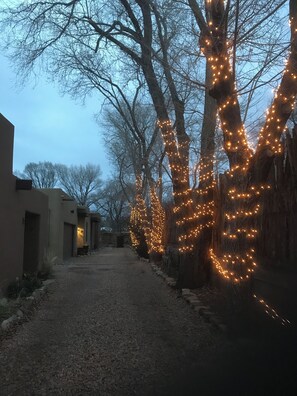 A pathway lined with trees wrapped in string lights, leading to a building with a modern architectural style.