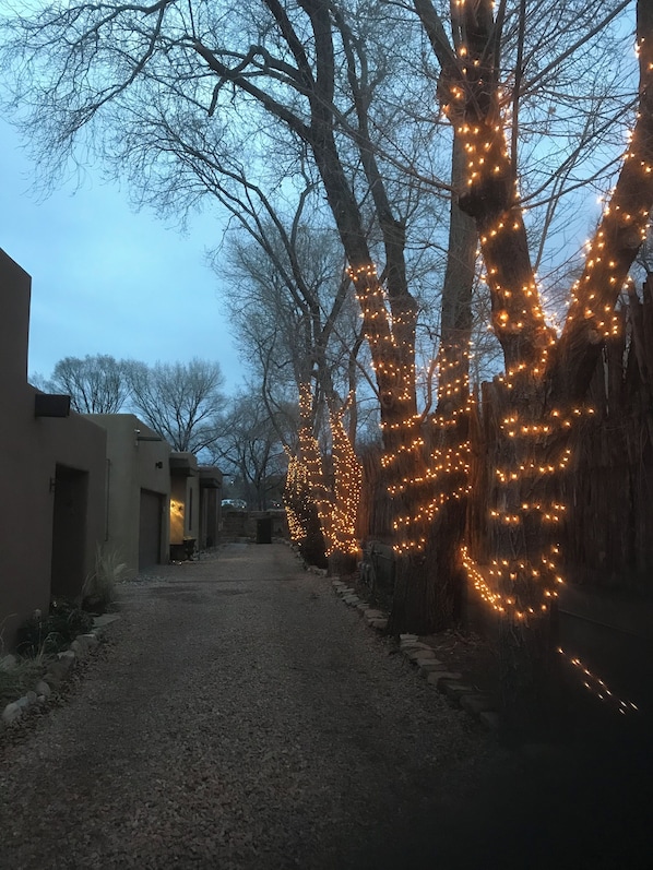 A pathway lined with trees wrapped in string lights, leading to a building with a modern architectural style.