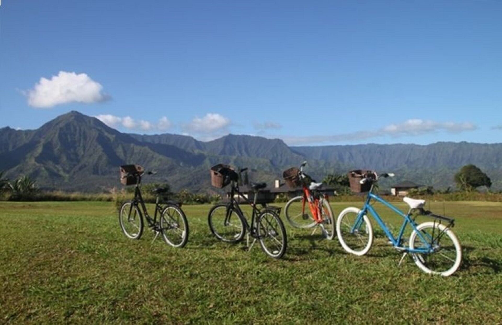Bicycles parked on a grassy field with a mountain range in the background.