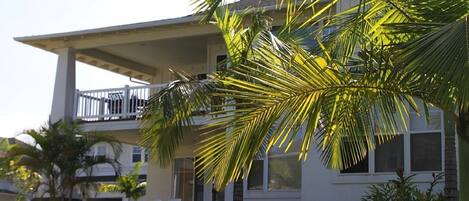 A two-story house with a balcony, a lawn, and a palm tree.